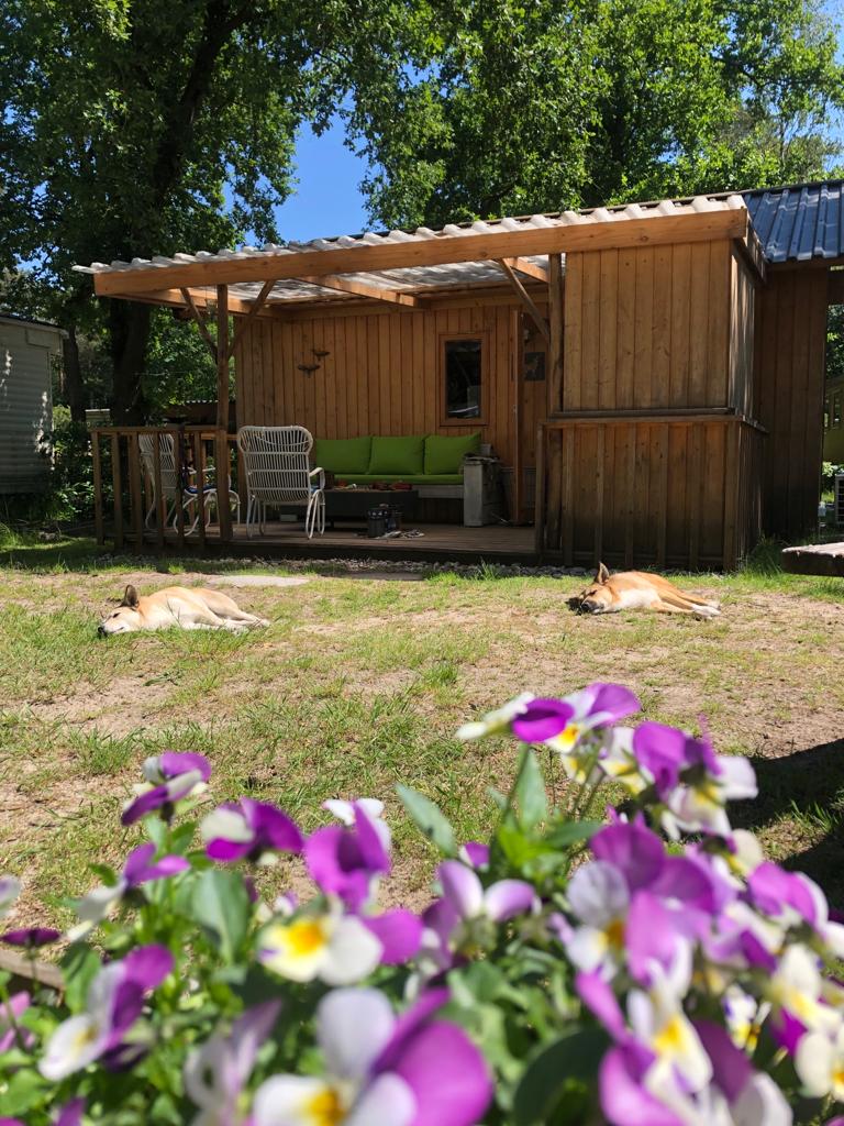 tiny huisje Wolf violen