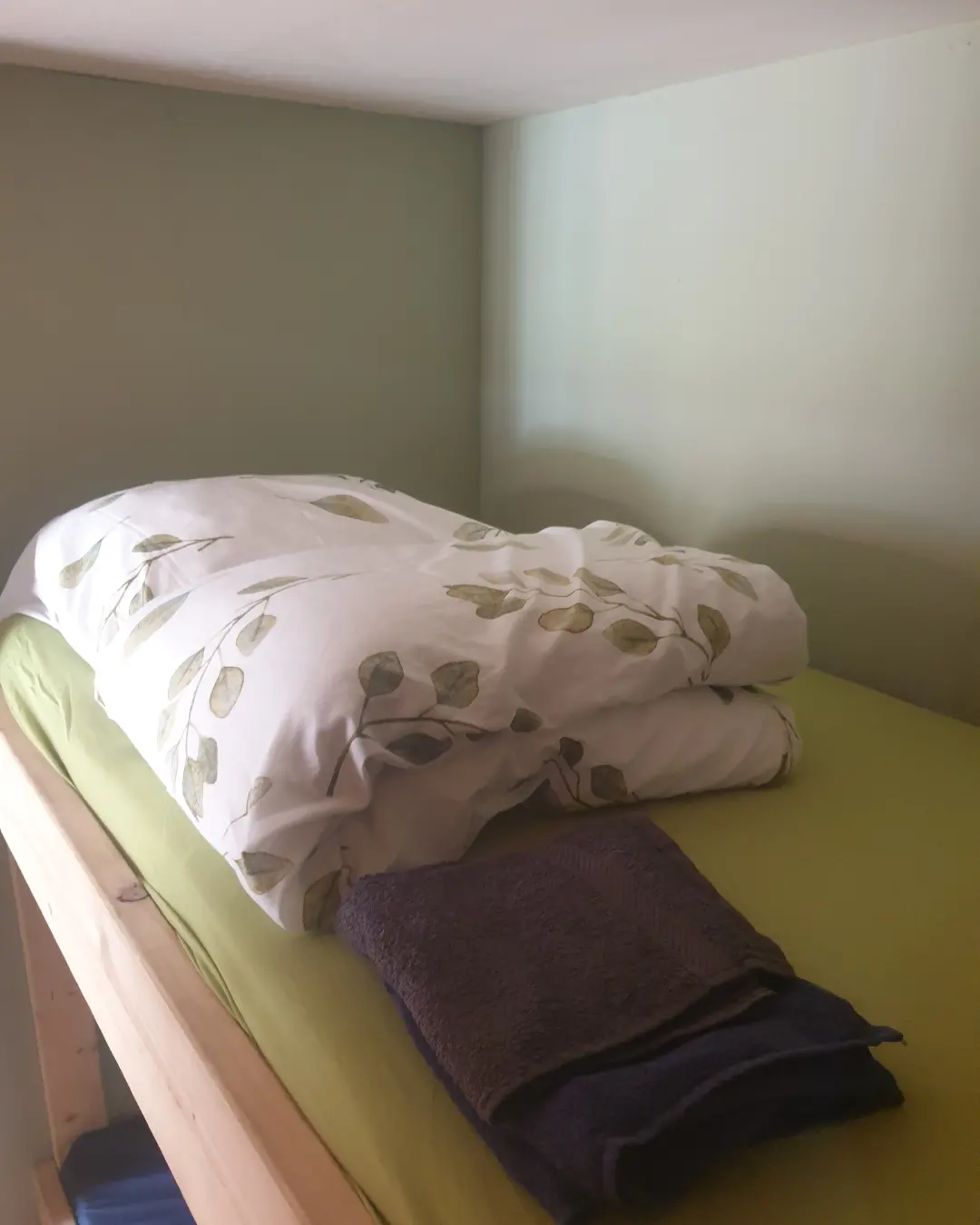 IMG_20220802_151919_261